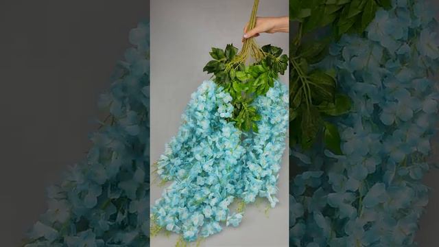 Глициния пышная