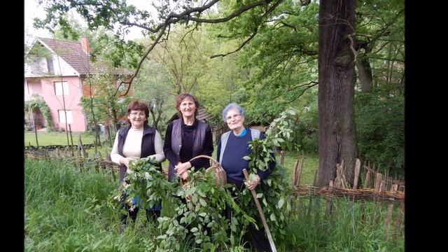 SLIKE NIKON COOLPIX L830 GLOBODER MAJ AVGUST 2016