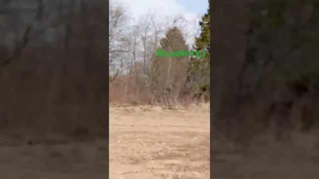 Нева МТ1- ZS на работу)