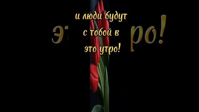 Желаю самого доброго утра!!