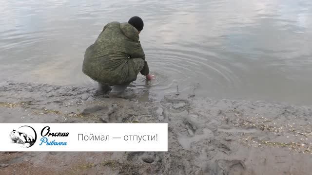 C9af363dc1f20ac05beb9238842ea3c8