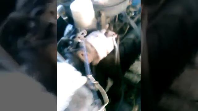 Двигатель ЗМЗ 511