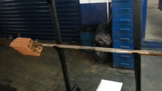 Academia Para Mirtos   Projeto ,Dona Onça Fortona !