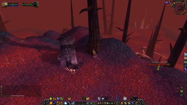 Where To Use Bundle Of Dragon Bones, WoW TBC