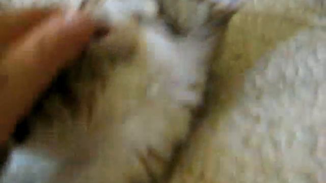 89a8410ebe5782533824644944866319