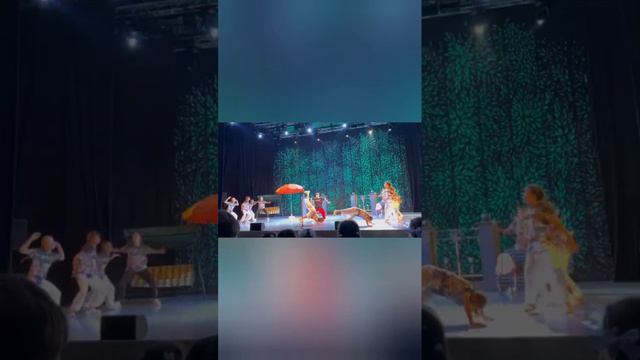 Представление