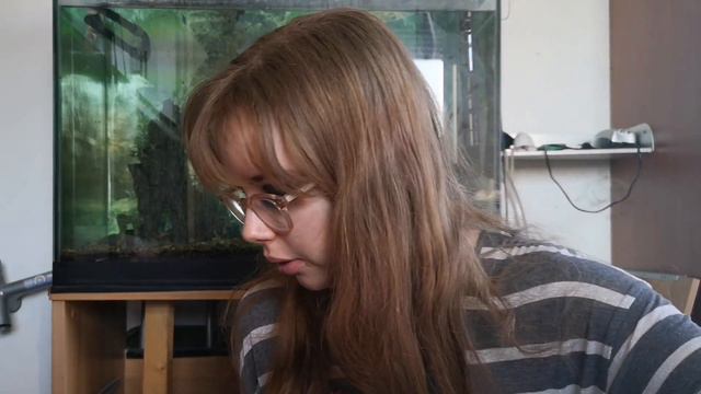 Второй палеточный ТЭГ 😉