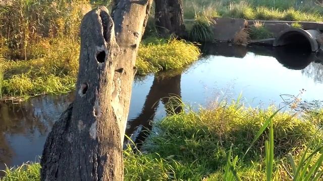 Народный праздник Иван Богослов. 9 октября. Что нельзя делать.