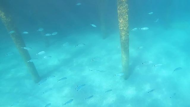 GoPro. Подводный мир. Пляж отеля Senza Grand Santana Сенза Гранд Сантана, Турция. Hero 7 Black