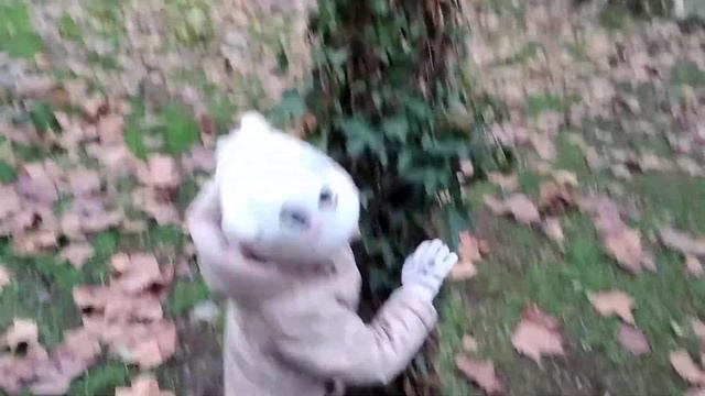 7e8c16e315f0522465c622eede93d9b6