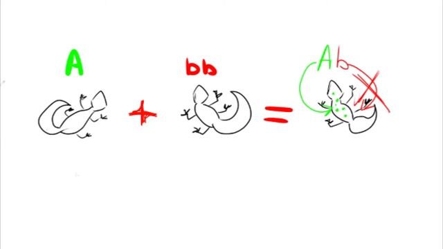 750e487830eed2a763d87937d8e9c99c