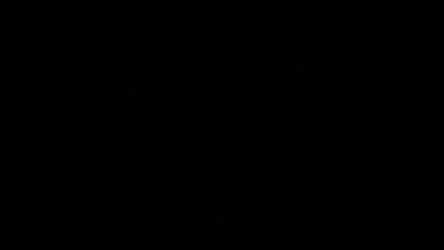 Вопросы?да-да есть один)