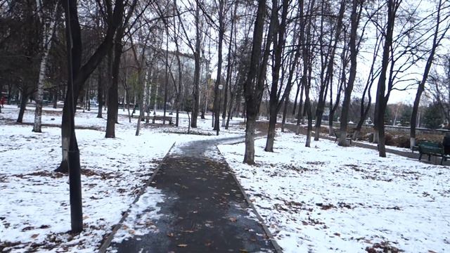 Забота о сосудах нашего тела.