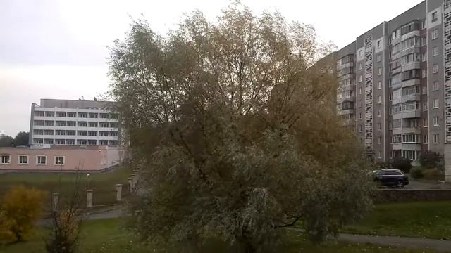 Новый колокольный звон