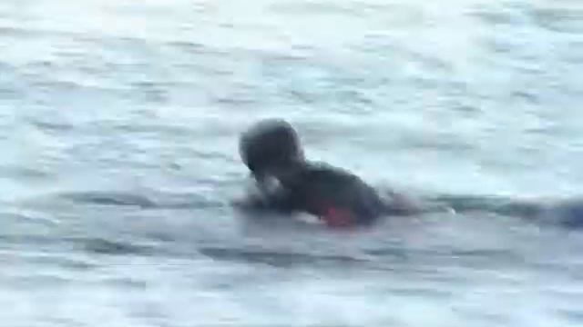 Мишки Гамми 11.07.2004