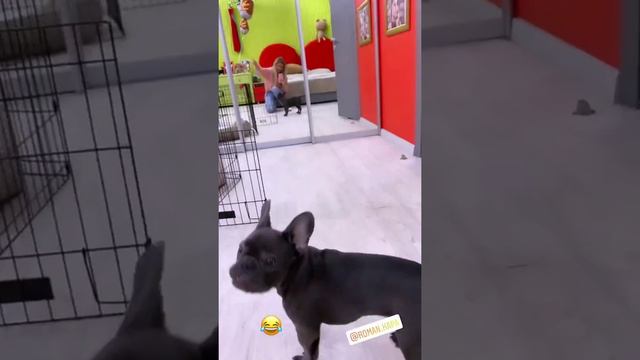 Марина Африкантова и Роман Капаклы в сторис 27.01.2020.