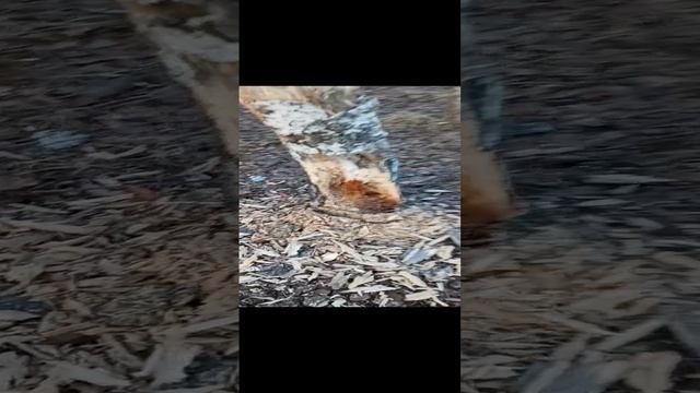 7d4f29084b52b58917fdb5852431d685