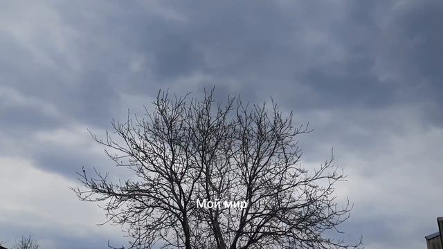 Ed80b368221cf0af20971edfbe9c0cb3