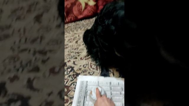 C18aa9e326e2f49de73600fed563009b