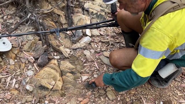 Minelab gpx 6000  Nugget Finder Xceed Coil find gold nuggets