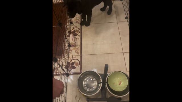 10 декабря 2023 г.