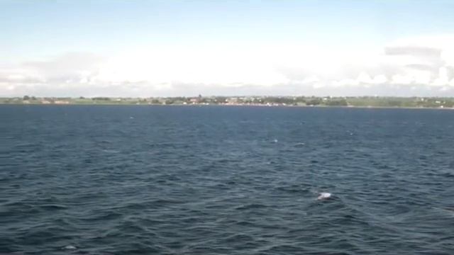 Паром DFDS Копенгаген Дания - Осло Норвегия