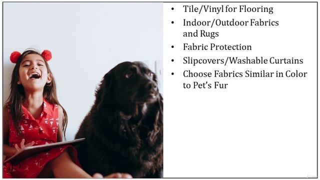 30 - Child Andor Pet Friendly Design Choices