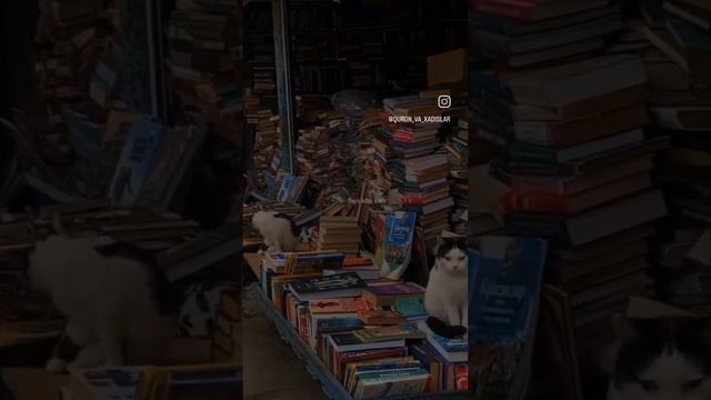 6b4b11e061e425f72e9b03468f8267fe