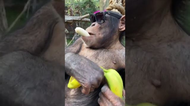 на чиле на расслабоне