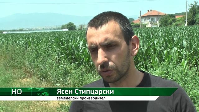 Новина плюс: Вредители и свит пазар за зелето в Кюстендилско, автор: Иво Кирилов