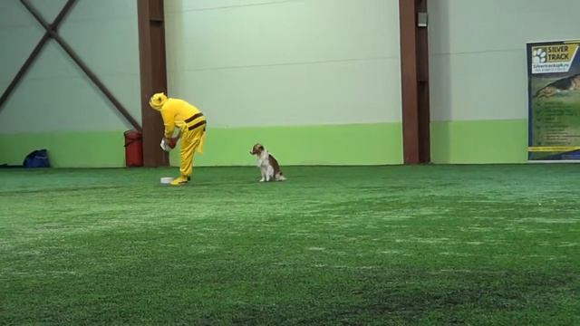 08bb8208e3704be0902bbb1b6507fda7