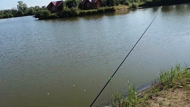 Не удачная рыбалка! Отличный отдых! База отдыха Берёзовка! отдых семья березовка карась