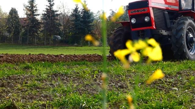 Zimowa Orka 2019 U  Agro Rogo Official//Ursus 914,  Staltech//