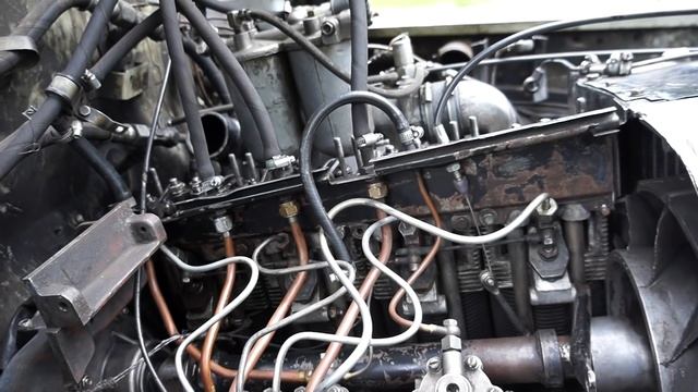 Сделай Себя Профессионалом