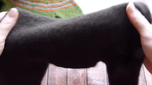 Готовые работы - февраль 2018 // Проекты и планы