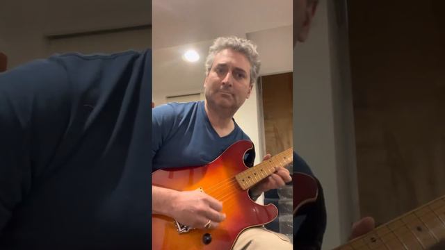 Ibanez Roadstar 315 1984 Or So