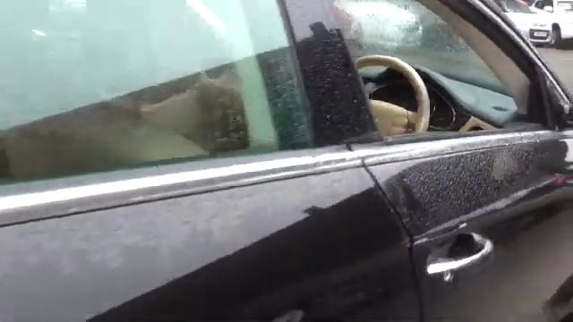 Mercedes-Benz CLS CLS320 CDI 4dr Tip Auto U49254