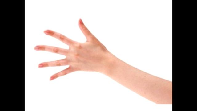 D06bb5de008124d6d2fedb9287afe2e2