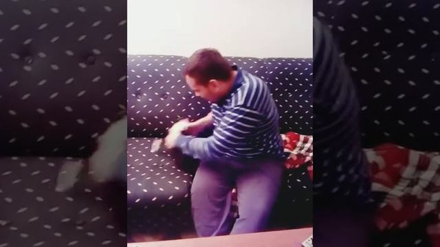 Boston Terrier Learns How To Fight And Defend/3 Months Old And 15 Months Old.