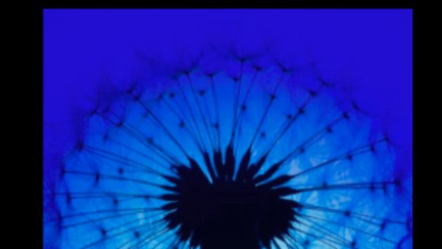 Serenade Aux  Etoile Op.142 For Flute PIANO ACCOMPANIMENT