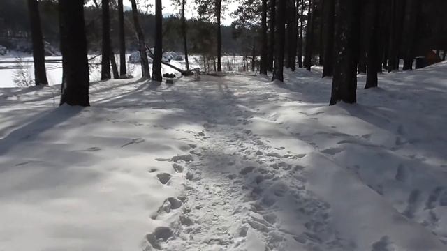 Царская охота. медведь проснулся. Камышлинский водопад.