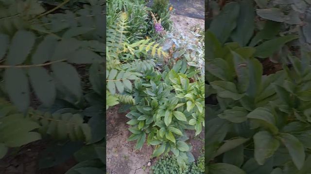 24 июля 2023 г.