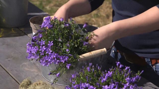 Fb6460106369a3c643000e693dceceff