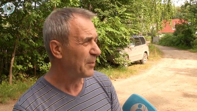 Почему в отдельно взятом садовом обществе не работают демократические институты?