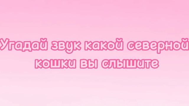 02e6ebeb3ce9295a2bf1aac18eb440a3