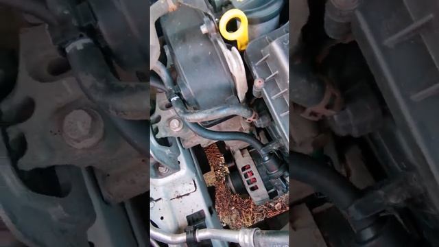 Ремонт Volkswagen Passat B3-B6