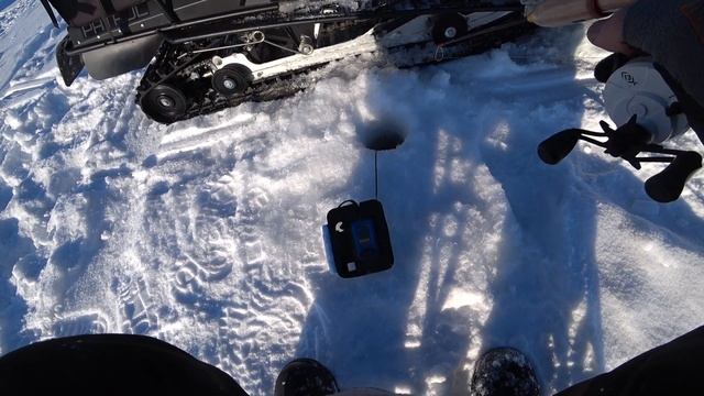 Судак в глухозимье. Соколово, февраль 2023