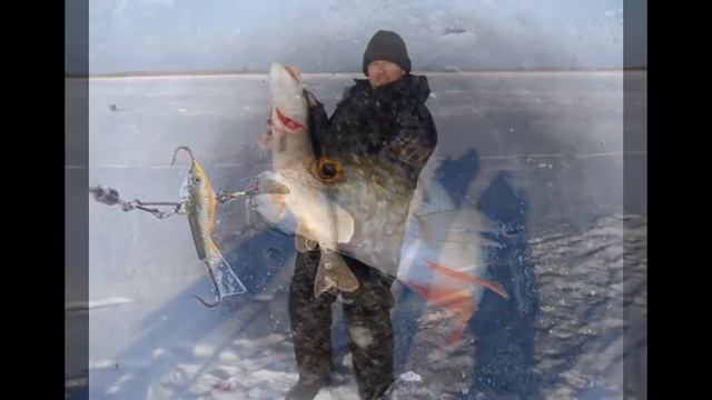 фото зимней рыбалки