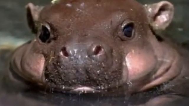 B7903df0d771aa21f46ad973c3fd76de