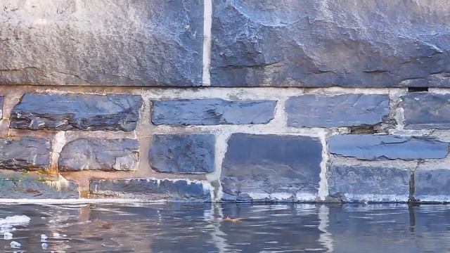 Nature ASMR Video For Relaxation And Sleep: Panasonic ZS100 Water Reflections On A Wall